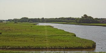 Wasser und Gras