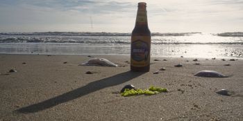 Inselstrand