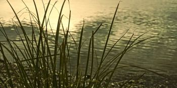 Nonnenweier